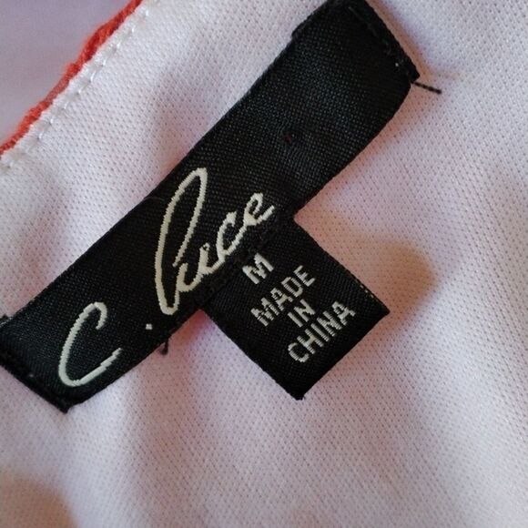 C. Luce Embroidered Dress Cottagecore - Picture 9 of 11